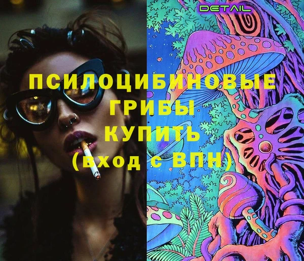 амф Суоярви
