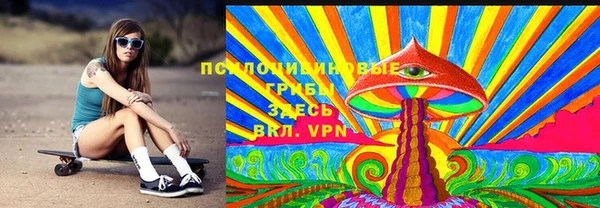 прущая мука Каменногорск