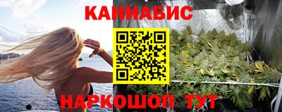 шишки Михайловск