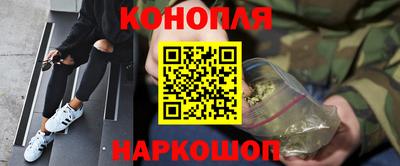 шишки Михайловск