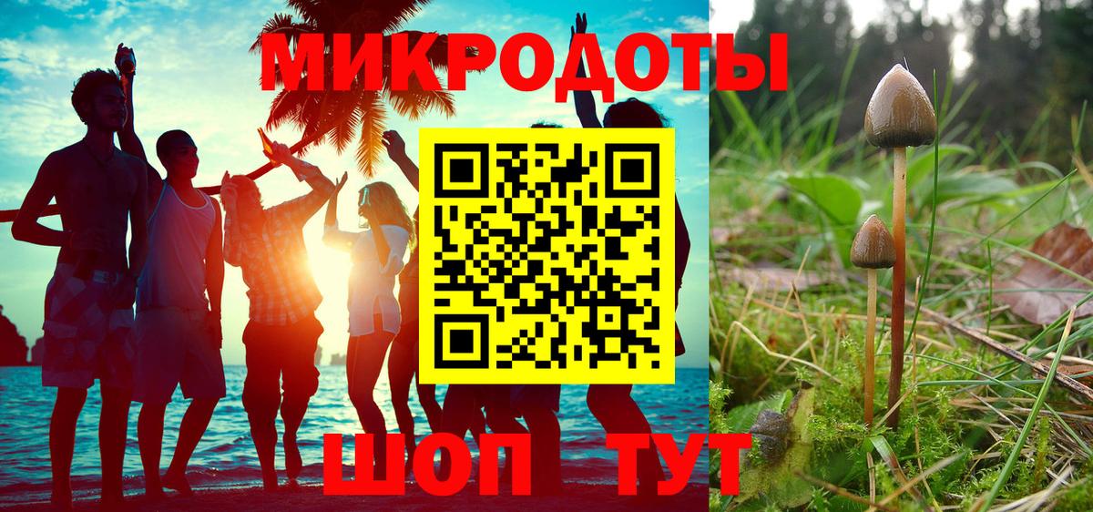 Псилоцибиновые грибы GOLDEN TEACHER  Вход с VPN  Галлюциногенные грибы мухоморы  купить наркотик  Слободской 