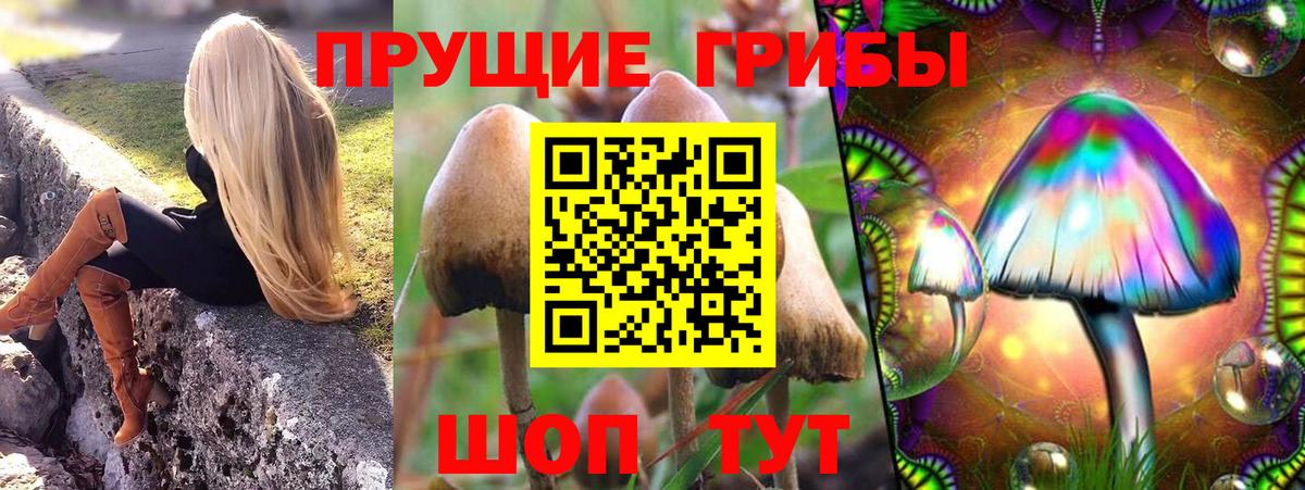 Галлюциногенные грибы Cubensis Слободской