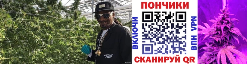 Каннабис Bruce Banner  Слободской 